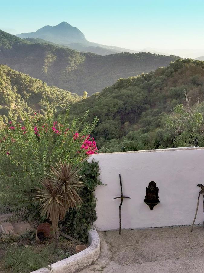 Naturaleza Y Arte En La Casa Del Molino Genalguacil Kültér fotó